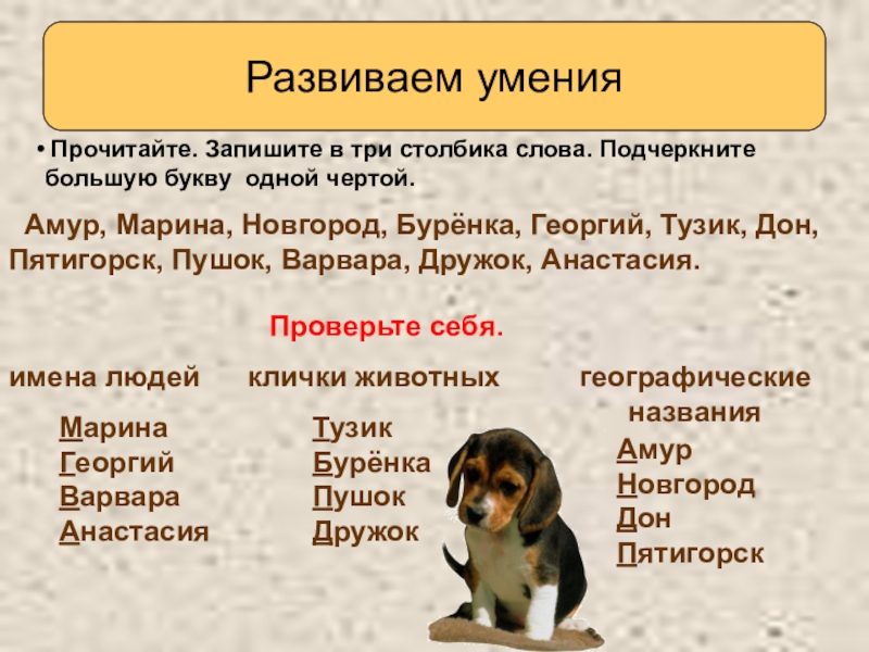 Слова написанные в столбик. Клички животных. Клички животных пишутся. Записать клички животных. Клички животных из книг.