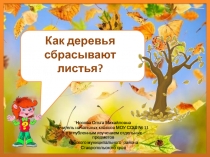 Почемучка Как деревья сбрасывают листья?