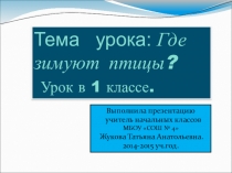 Презентация по окружающему миру на тему Где зимуют птицы? 1 класс.
