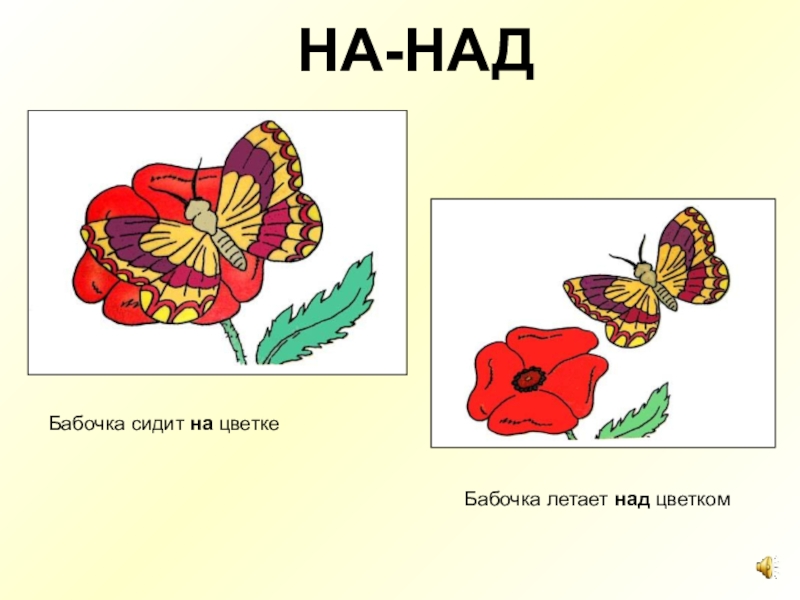 Картинка для детей бабочка над цветком