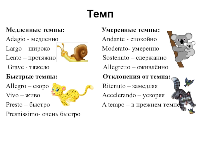 Медленно музыка 7 букв. Музыкальные термины темпы. Медленные темпы в Музыке названия. Темповые обозначения в Музыке.