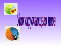 Презентация к уроку окружающий мир на тему:Разнообразие растений