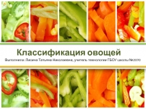 Презентация по технологии на тему: Классификация овощей