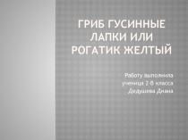 Презентация по окружающему миру на тему грибы 2 класс