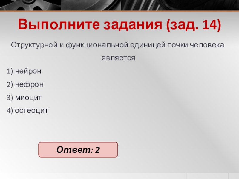 Выполните задания (зад. 14)Струк­тур­ной и функ­ци­о­наль­ной еди­ни­цей почки че­ло­ве­ка яв­ля­ет­ся 1) ней­рон2) нефрон3) мио­цит4) остео­цитОтвет: 2