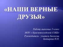 Презентация по биологии на тему Наши верные друзья