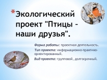 Презентация Групповой проект Зимующие птицы нашей местности