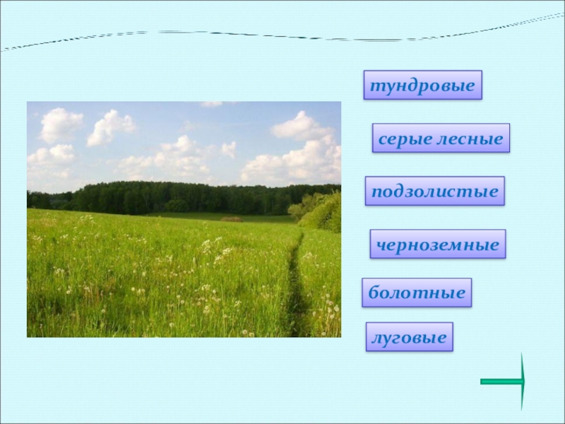 Тест по окружающему миру земля кормилица. Окружающий мир 4 класс рабочая тетрадь земля кормилица. Тест по окружающему миру 4 класс на тему земля кормилица. Тест по окружающему миру 4 класс земля кормилица почвы. 4 Класс окружающий мир тема земля кормилица кроссворд.