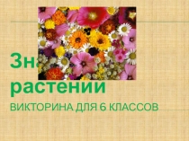 Презентация по биологии Знатоки растений