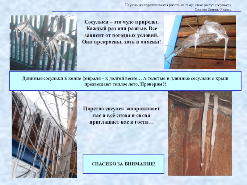 Научно-исследовательская работа на тему: «Как растут сосульки» Сиднев Данил, 5 классСосульки – это чудо природы. Каждый раз