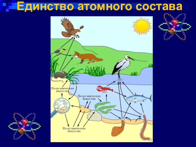 Модель связи в природе. Схема круговорота веществ в природе водоема. Схема круговорота жизни 3 класс окружающий мир. Цепь круговорот жизни. Круговорот пищевых связей в природе.