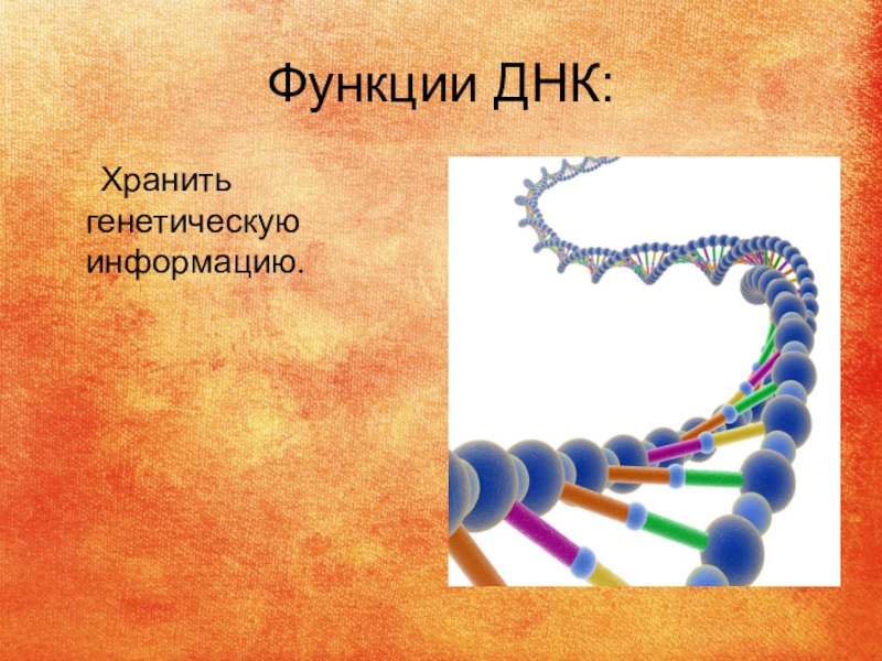 Хранение рнк. Хранение информации в ДНК. Как в ДНК хранится информация. Хранение ДНК. ДНК хранение наследственной информации.