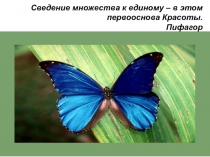 Урок.Презентация по химии Семинар по теме Гибридизация .11 класс