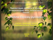 Презентация урока Проект Люблю,берёзу русскую