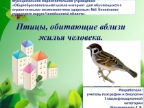 Презентация по Биологии на тему Птицы, живущие возле жилья человека (8 класс коррекционной школы 8 вида)