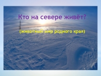 Презентация Кто на севере живёт (животный мир)