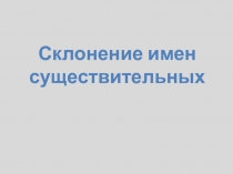 Презентация Склонение имен существительных