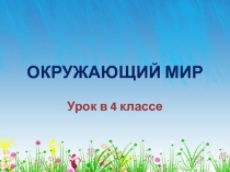 Презентация по окружающему миру на тему: Жизнь луга (4 класс)