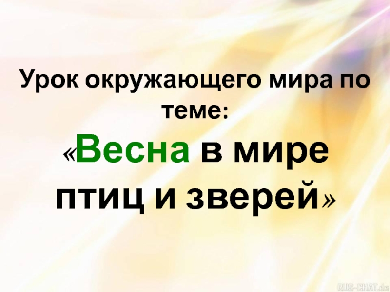 Весна в мире птиц и зверей презентация