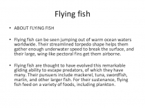 Презентация к дополнительному уроку английского Летающая рыба