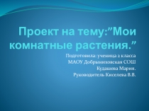 Презентация. Комнатные растения. Проект. 2 класс