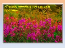 Презентация Лекарственные травы: за и против