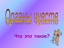 Презентация по окружающему миру Органы чувств
