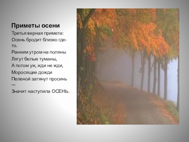 Предложение моросит по осеннему. Один день три осени. Приметы осени дождь. Стих третья верная примета. Примета осени к туману.