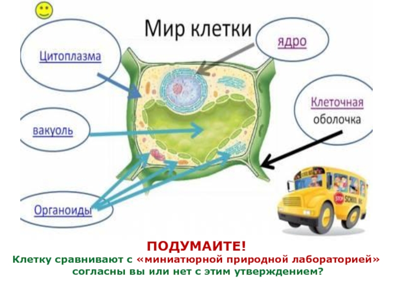 Почему клетки. Состав клетки 5 класс. Химический состав растительной клетки 5 класс биология. Состав клетки биология 5 класс. Химический состав клетки 5 класс.