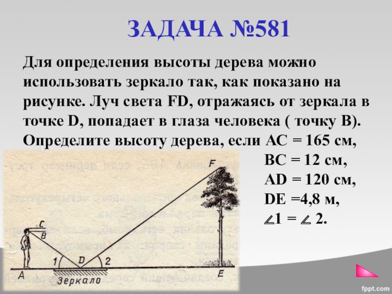 На рисунке изображены здание и стоящее рядом дерево высота здания равна 13м