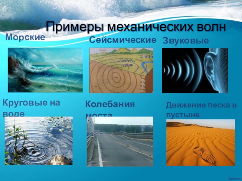 Волны это какой ресурс. Примеры механических волн. Механические волны. Механические волны в природе. Примеры волн в физике.