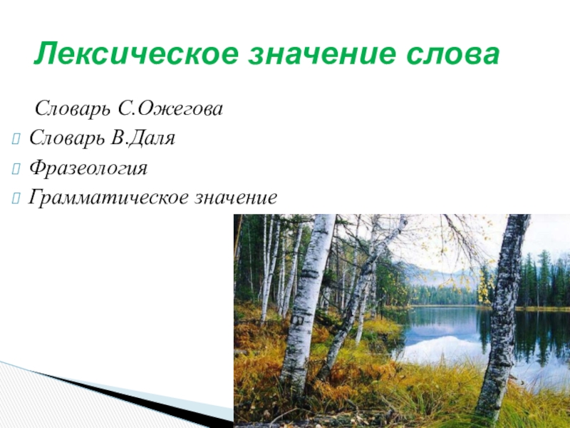 Значение слова березка. Береза лексическое значение. Пейзаж лексическое значение. Лексическое значение слова картина природы. Лексическое значение слова пейзаж.