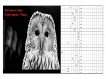 Презентация по биологии на тему Птицы (7 класс)