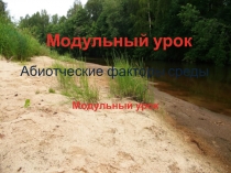 Презентация по биологии для 11 класса Абиотические факторы среды