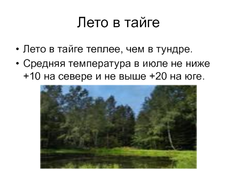 Презентация природная зона тайга 4 класс окружающий мир