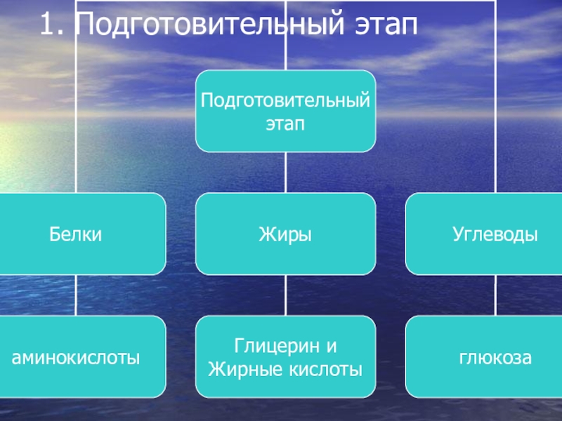 Подготовительный этап картинка