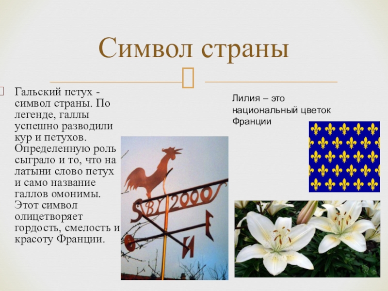 Символ какой страны. Национальный символ Франции. Символы Франции презентация. Неофициальные символы Франции. Франция символ страны петух.