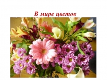 Презентация внеклассного мероприятия по биологии  В мире цветов