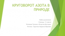 Презентация по биологии на тему  Круговорот азота в природе ( 11 класс)