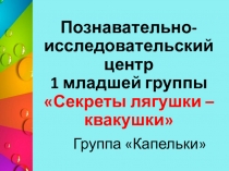 Презентация Познавательно - исследовательская деятельность в 1 младшей группе Секреты лягушки-квакушки