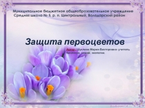 Первоцветы Нижегородской области.