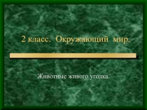 Презентация Окна в окружающий мир