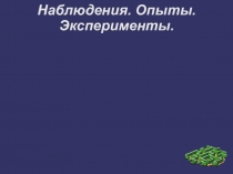 Презентация проекта по окружающему миру Наблюдения. Опыты. Эксперименты.