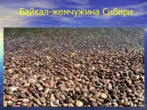 Презентация по окружающему миру, а также подойдет для классного часа на тему Байкал-жемчужина Сибири