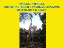 Презентация по математике 6 класс на тему Сложение чисел с разными знаками