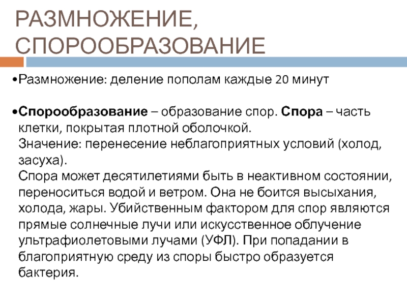 Размножение: деление пополам каждые 20 минутСпорообразование – образование спор. Спора – часть клетки, покрытая плотной оболочкой. Значение: перенесение неблагоприятных