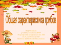 Презентация по биологии к уроку Общая характеристика грибов (5 класс)