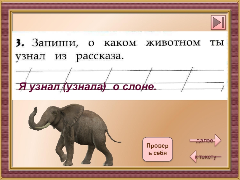 Окончание слова слонов. С чем сравнивает Автор слона. Работа с текстом 1 класс слон. Запиши о каком животном ты узнал из рассказа. Задания про слона 1 класс.