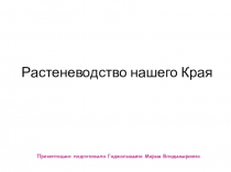 Презентация Растениеводство нашего Края