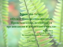 Презентация по биологии на тему отдел Папоротниковидные. Происхождение, особенности организации и жизненного цикла 7 класс